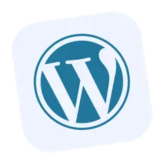 Webzo.io Web Development Services using WordPress to build responsive and SEO-friendly websites